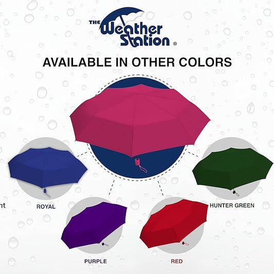 Weather Station Super Mini Manual Umbrella - Assorted Colors
