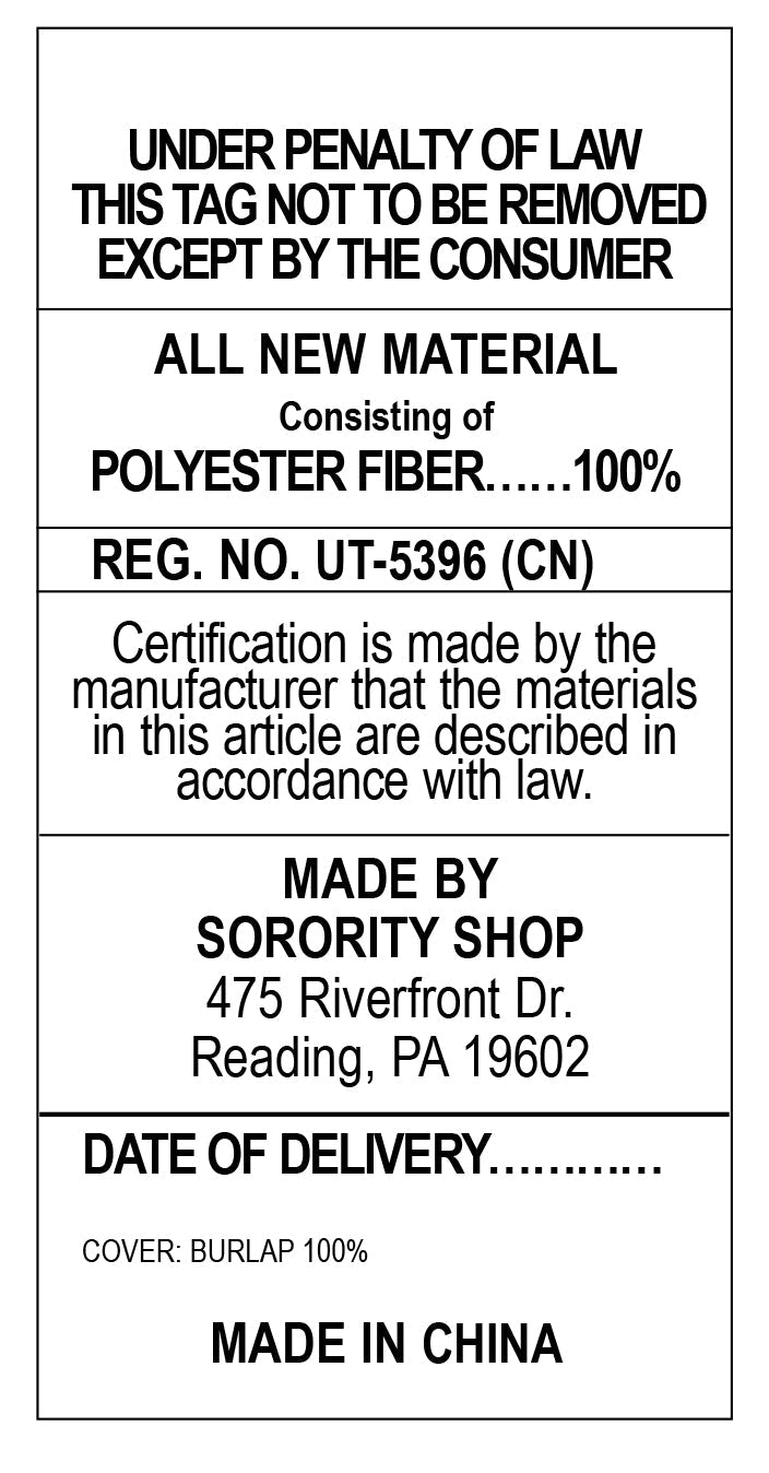 Chi Omega Retro Throw Pillow