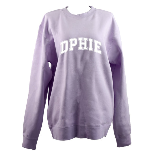 Delta Phi Epsilon Sweatshirt- Crewneck Varsity Letters Design