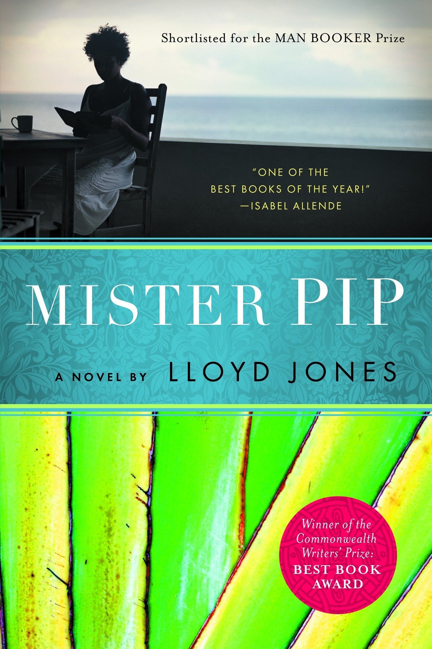 MISTER PIP - Virginia Book Company
