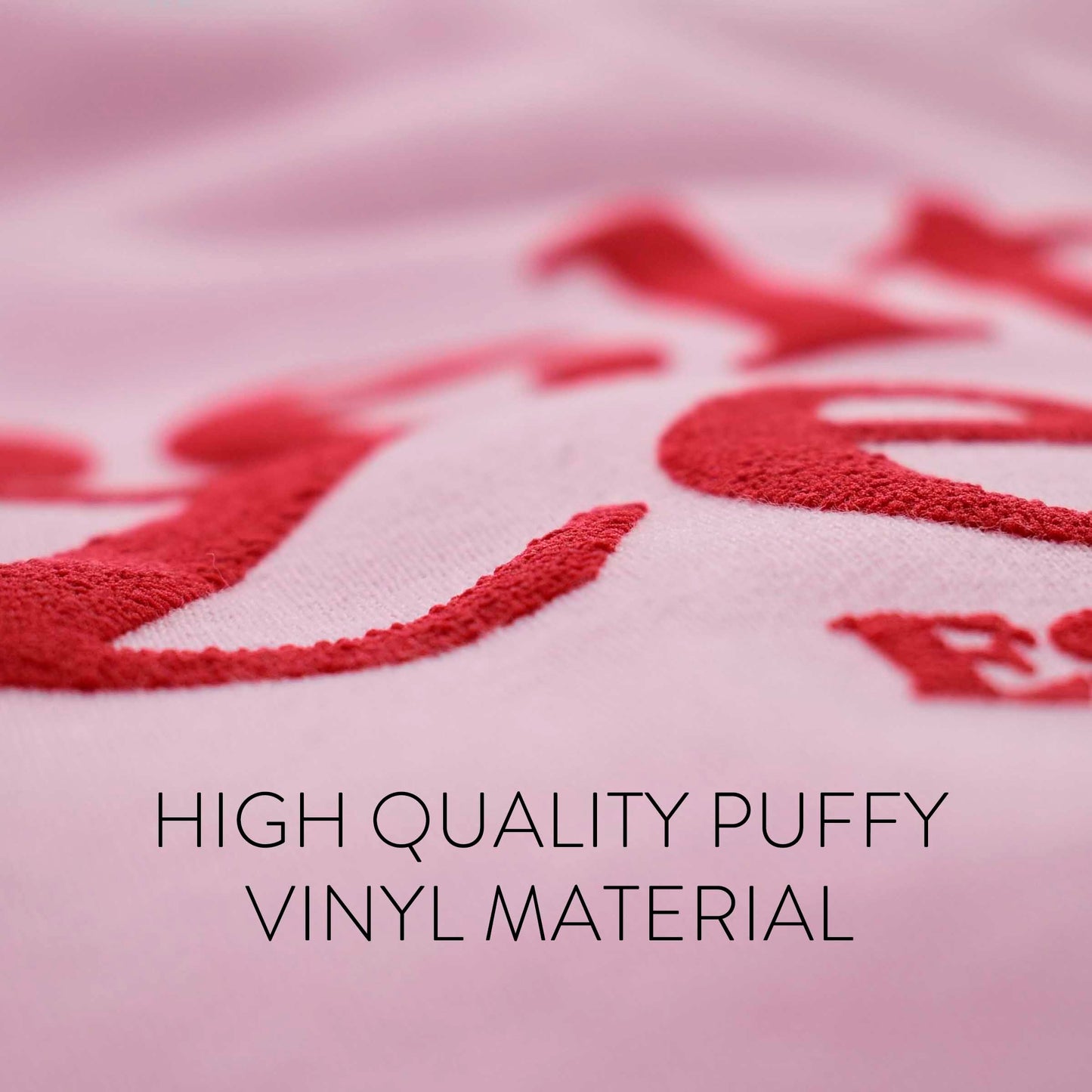 Chi Omega Hooded Sweatshirt with Cherries and Sorority Name