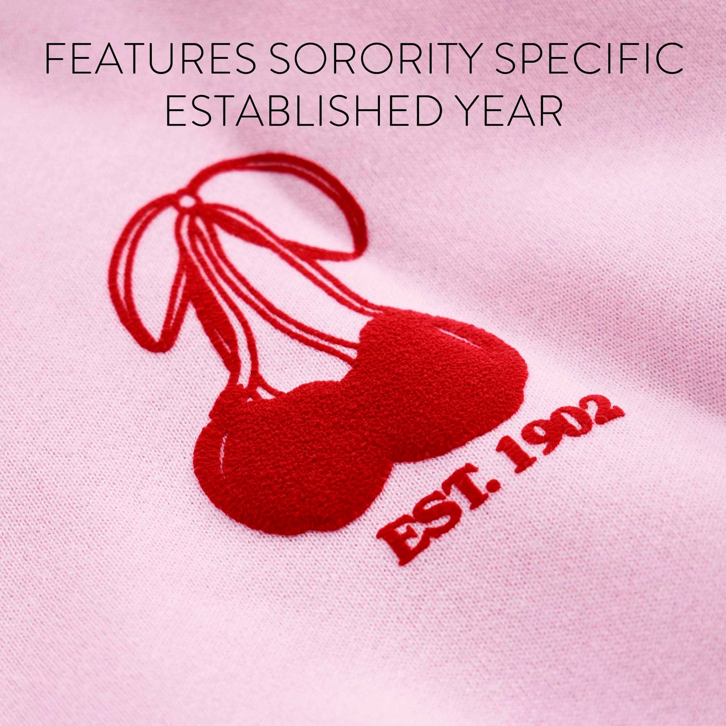 Alpha Epsilon Phi Hooded Sweatshirt with Cherries and Sorority Name