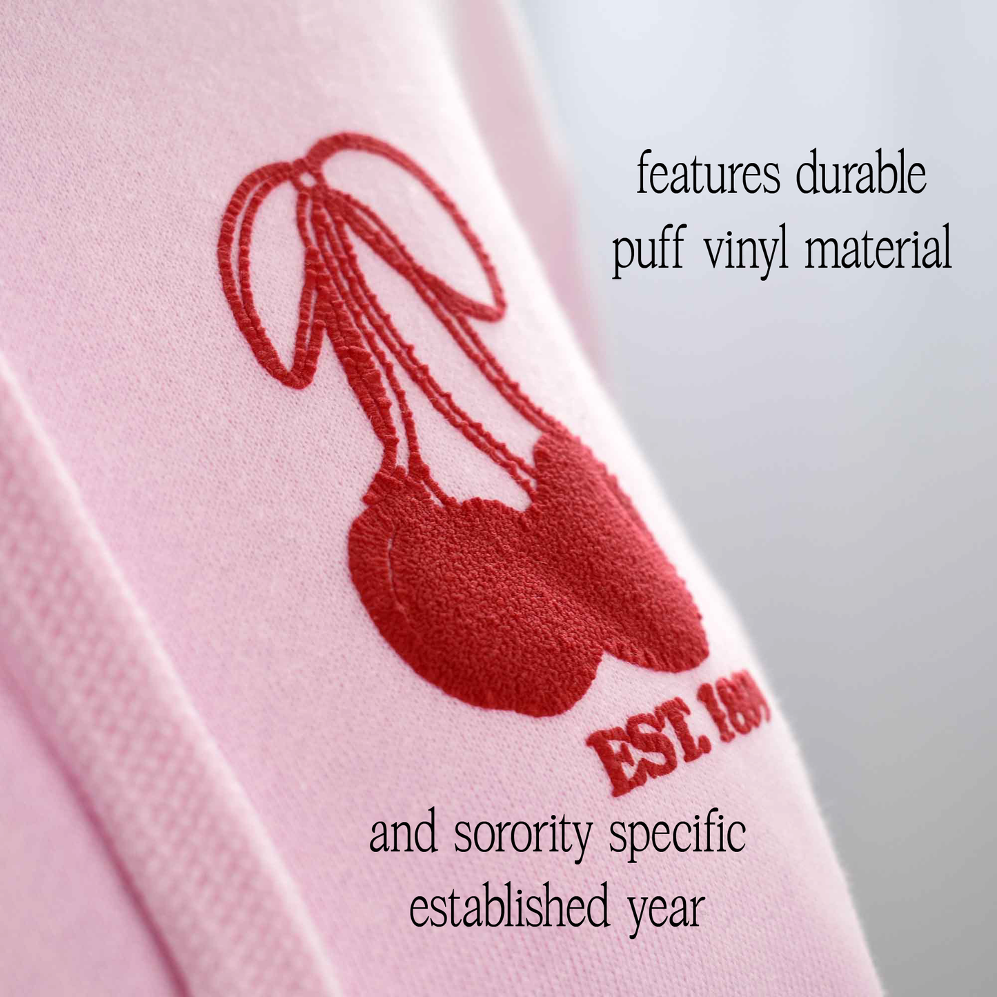 Zeta Tau Alpha Hooded Sweatshirt with Cherries and Sorority Name