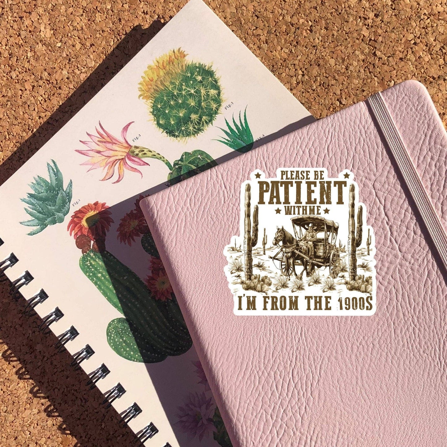 Please Be Patient With Me I'm From The 1900's