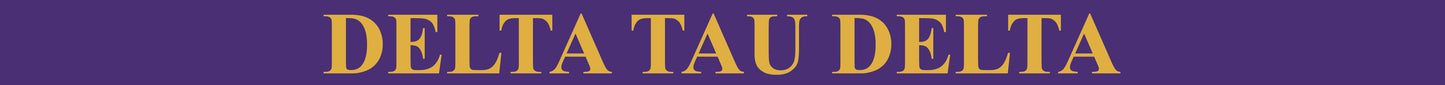Delta Tau Delta <br> Sunglass Strap <br> Traditional Two Color