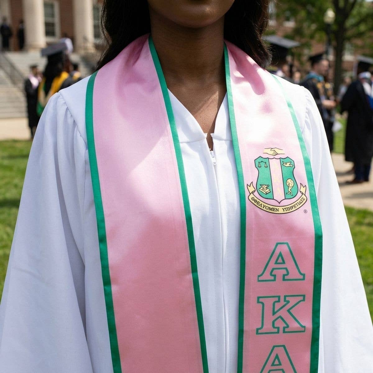 AKA Alpha Kappa Alpha Print Legacy Honor Stole in Pink with Green