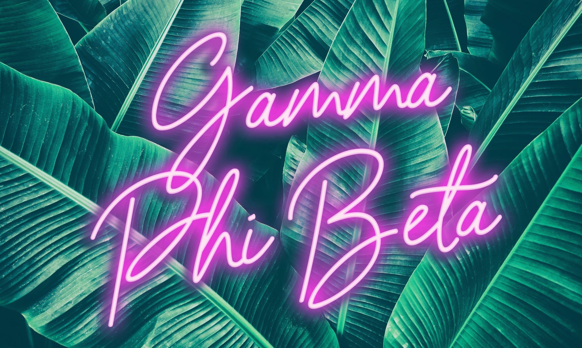 Gamma Phi Beta Neon Palm Flag - Virginia Book Company