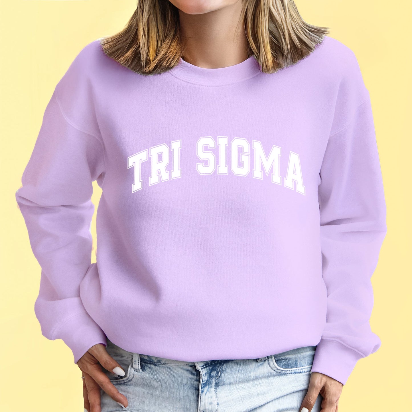 Delta Phi Epsilon Sweatshirt- Crewneck Varsity Letters Design